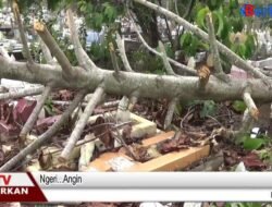 Seram…..Puluhan Makam Terangkat Nampak Isinya Akibat Angin Kencang