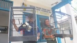BURUNG DISITA