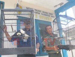Toko Burung Anen Digrebek. 10 Ekor Burung Disita