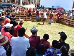 Pertahankan Tradisi, Jarot Buka Lomba Tangkap Babi