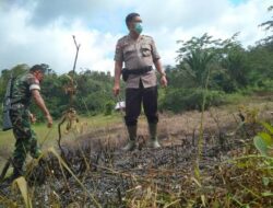 Sengaja Membakar Lahan. Warga di Entikong Diperiksa Polisi