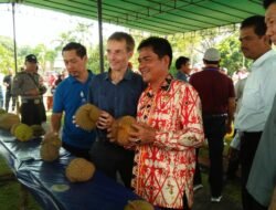 Durian Noa Asli Sekayam Juarai Kontes Durian Kalbar