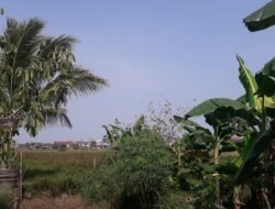 Hujan Menghilangkan Kabut Asap di Pontianak dan Kubu Raya
