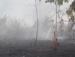 Tangkap Pembakar Lahan, Viralkan!!!
