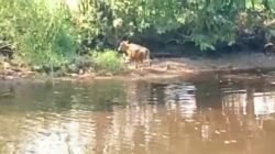 WhatsApp Image 2018-08-23 at 15.52.11