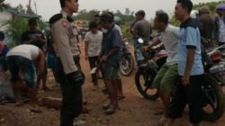 WhatsApp Image 2018-08-24 at 17.49.59