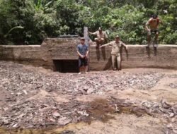 Sehari Diresmikan Mesin PLTS di Pala Pasang Rusak