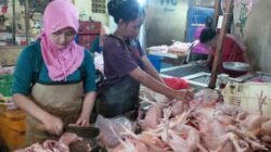 WhatsApp Image 2018-08-31 at 13.33.16