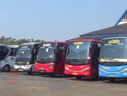Bus Medium Layani Trayek Perintis. Ini Harga Tiketnya