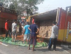 Hindari Sepeda Motor, Truk Pengangkut Sawit Terguling