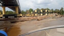 KAYU LOG DI SUNGAI SINTANG
