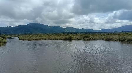 Taman Nasional Danau Sentarum di Kapuas Hulu yang memiiki berbagai keunikan untuk disaksikan sebagai salah satu tujuan wisata di Kalbar