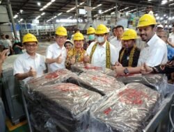Harga Karet Anjlok, Menteri Perindustrian Sebut Pemerintah Sedang Carikan Solusi