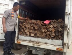 Kayu Ilegal Asal Ketapang Ditangkap Polres Sanggau
