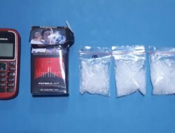 AG Sembunyikan Sabu 29,68 Gram di Kebun Sawit