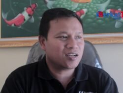 Kepiting Selundupan Dilepaskan ke Habitatnya