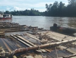 Kades di Ambalau Diduga Terlibat Ilegal Logging. Polisi Sita Ribuan Batang Durian