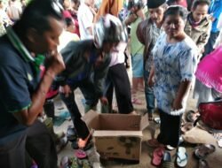 Desa Jawa Tengah Digegerkan Penemuan Bayi Dalam Kardus