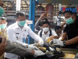 6.147,8 Gram Ganja Dari Aceh Dimusnahkan