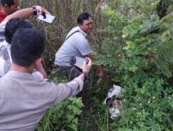 Warga Pasiran Heboh Karung Berbau Busuk. Setelah Dibuka Ternyata ini Isinya