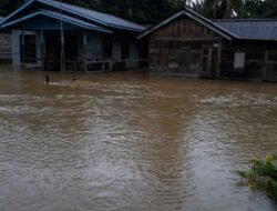 Empat Dusun di Meliau Terendam Banjir. Ribuan Jiwa Mengungsi