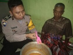 Polisi Cek Pentol Bakso, Bukan Daging Tikus Ternyata Daging Binatang Ini yang Ditemukan
