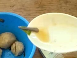 Di Sanggau Heboh Pentol Bakso Daging Tikus
