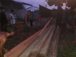 Polsek Singkawang Utara Amankan Kayu Ilegal tak Bertuan