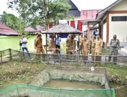 Jarot Minta DKPP Efektif Budidayakan Ikan Lokal