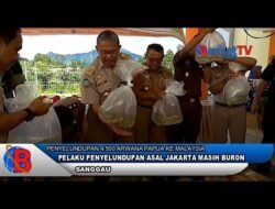 Pelaku Penyelundupan 4.500 Arwana Papua Ke Malaysia Masih Buron