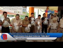 Pengusaha Kalbar Diduga Terlibat Penyelundupan 4.500 Arwana Papua ke Malaysia