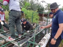 Buaya Muara Terkam Warga Hingga Tangan Putus