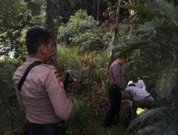 Mayat Tjia Kim Sau Ditemukan di Semak Belukar