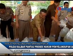 Polda Kalbar Pantau Proses Hukum Penyelundupan Arwana