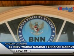 56 Ribu Warga Kalbar Terpapar Narkotika