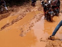 Pengendara Nginap di Jalan Tayan – Meliau