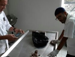 Kejam, Janin Bayi Dibuang di Pembuangan Sampah Mega Mal. Polisi Lacak Pelaku di CCTV