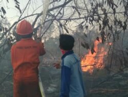 Karhutla Hanguskan Lahan 200 Ha, Warga Kewalahan Padamkan Kobaran Api