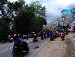 Pohon Tumbang Dihantam Angin Kencang, Satu Pengendara Menjadi Korban