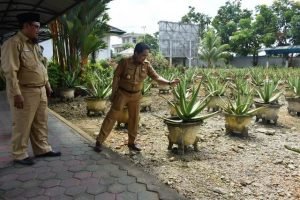 Pertahankan Aloevera Center dan Balai Benih Ikan Dengan Inovasi