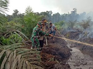 Dandim – Kapolres Padamkan Karhutla Tiga Hektar Lahan PT SJAL II