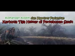 Dandim – Kapolres Sanggau Padamkan Karhutla di Perkebunan Sawit