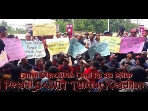 Lahan Digadaikan, Petani Sawit Tuntut Keadilan