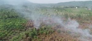 Empat Perusahaan di Sanggau Diduga Terlibat Karhutla. Ontot: Jika Terbukti Ijin Dicabut