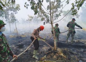 Bertambah Lagi 13 Perusahaan di Kalbar Terlibat Kasus Karhutla