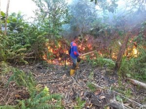 Pelaku Karhutla Dijerat Pasal Berlapis