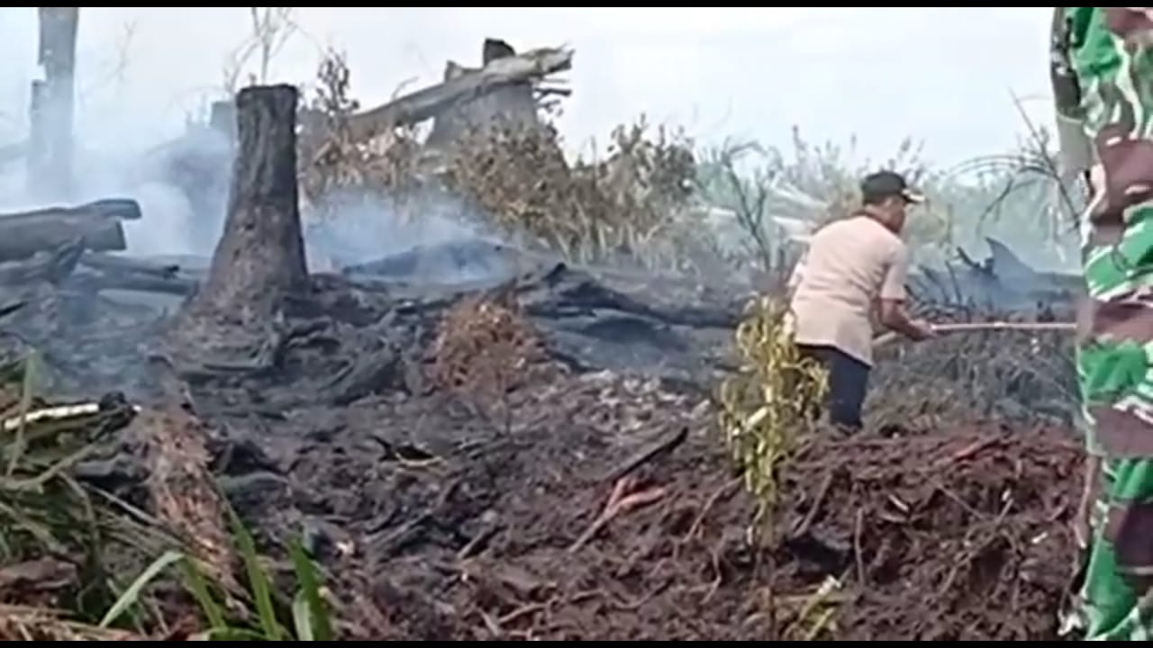 Kabupaten Sanggau terdeteksi paling banyak hotspot atau titik panas. Data BMKG per Sabtu (20/7) menunjukan hotspot di Sanggau sebanyak 64 titik. Hotspot berpotensi menyebabkan terjadinya karhutla. Foto: dok berkatnewstv