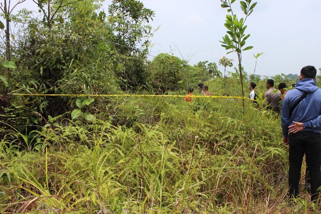 Hendak Mencari Daun. Tiba-tiba Anggota Pramuka di Sekadau Temukan Kerangka Manusia di Semak Belukar