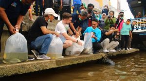 Pelepasan Ikan Wujud Menjaga Biota Sungai Kapuas