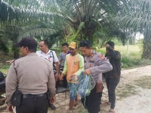 Pekerja Tower Tewas Tersengat Listrik